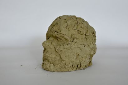 Eco Self-Portrait - Low-energy self-portrait made from hand-excavated, processed and unbaked clay from the Brnićevka location, Donja Motičina, Republic of Croatia - a Sculpture & Installation Artowrk by midzo